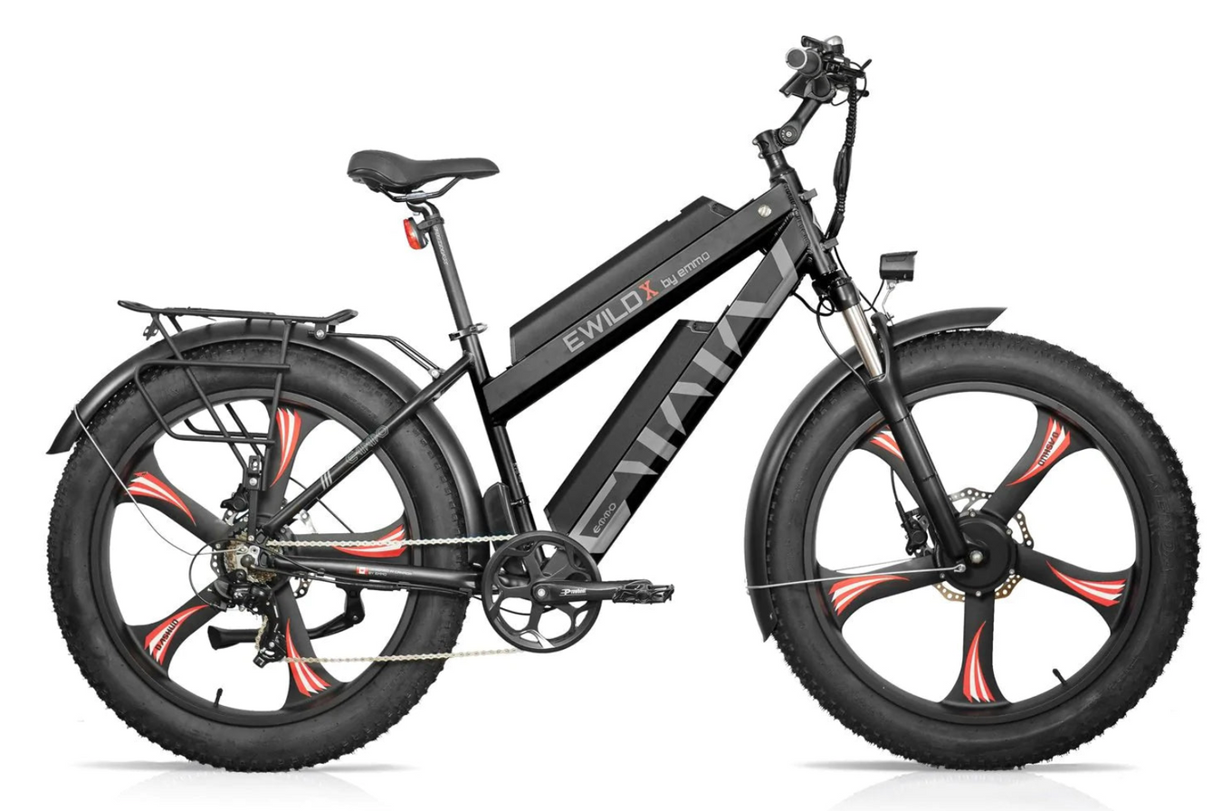 Dual-Battery Bikes
