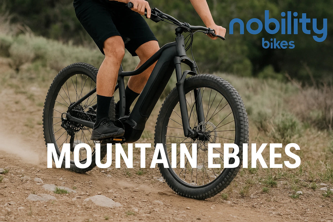 Electric Mountain Bike Canada