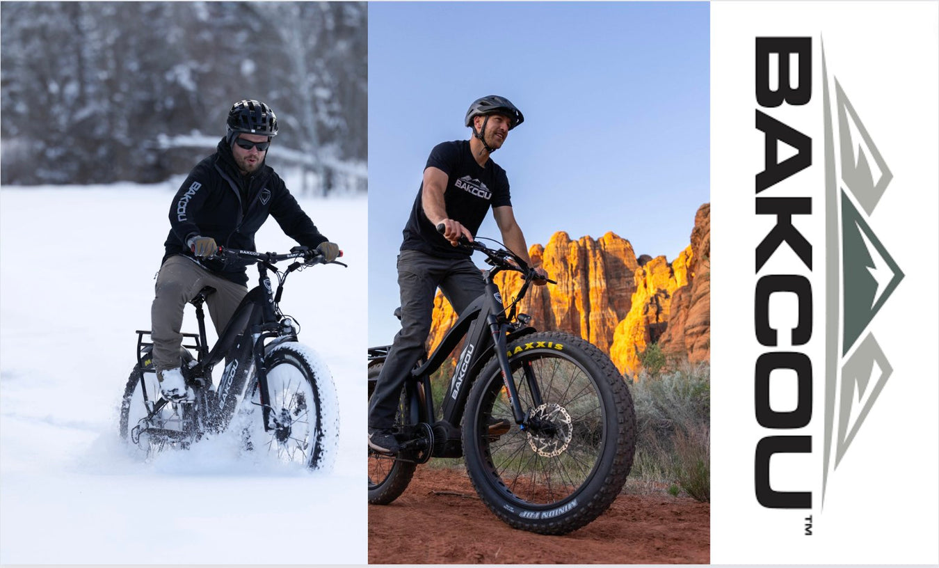 Bakcou's Electric Bike Collection