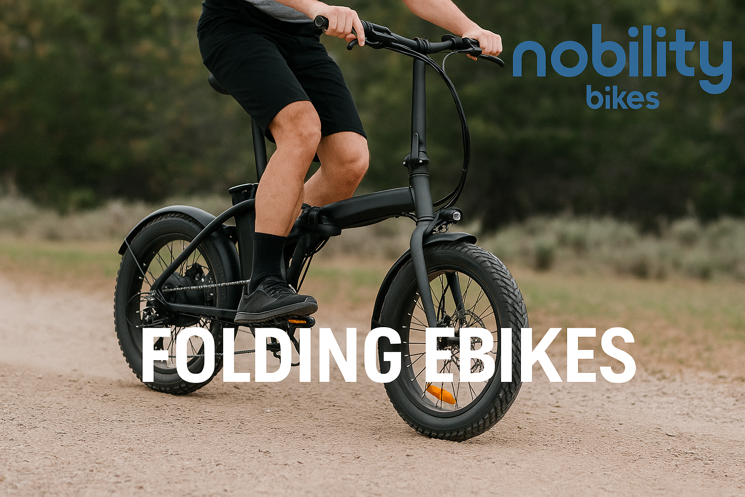 Folding Electric Bikes